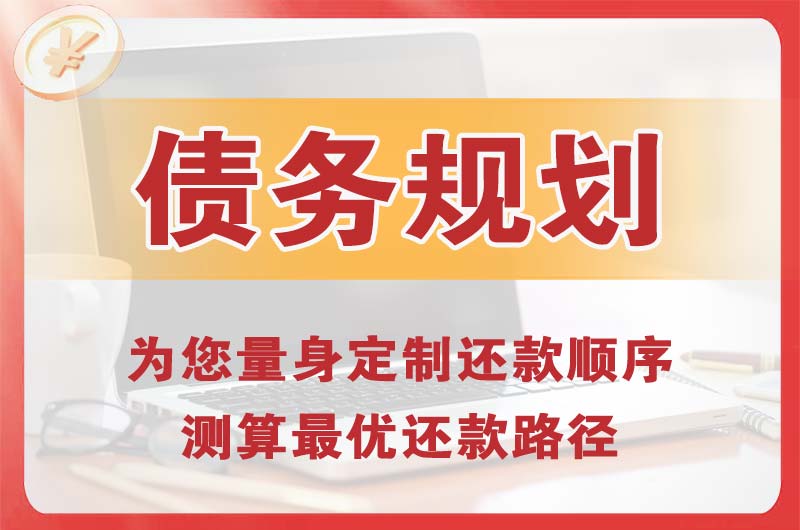 成华债务规划